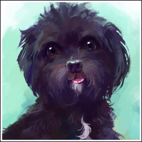 A digital watercolor painting of a shaggy black dog with a white streak under her mouth and down her chest.